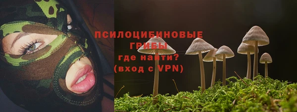 прущий лед Бронницы