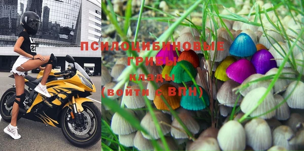 героин Бородино