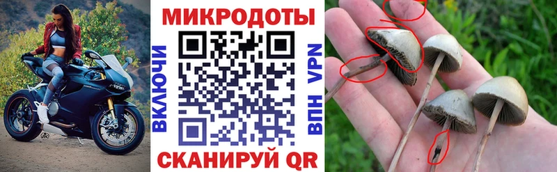 Галлюциногенные грибы мицелий  купить   Топки 