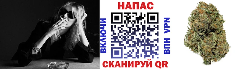 где можно купить   Топки  Конопля SATIVA & INDICA 